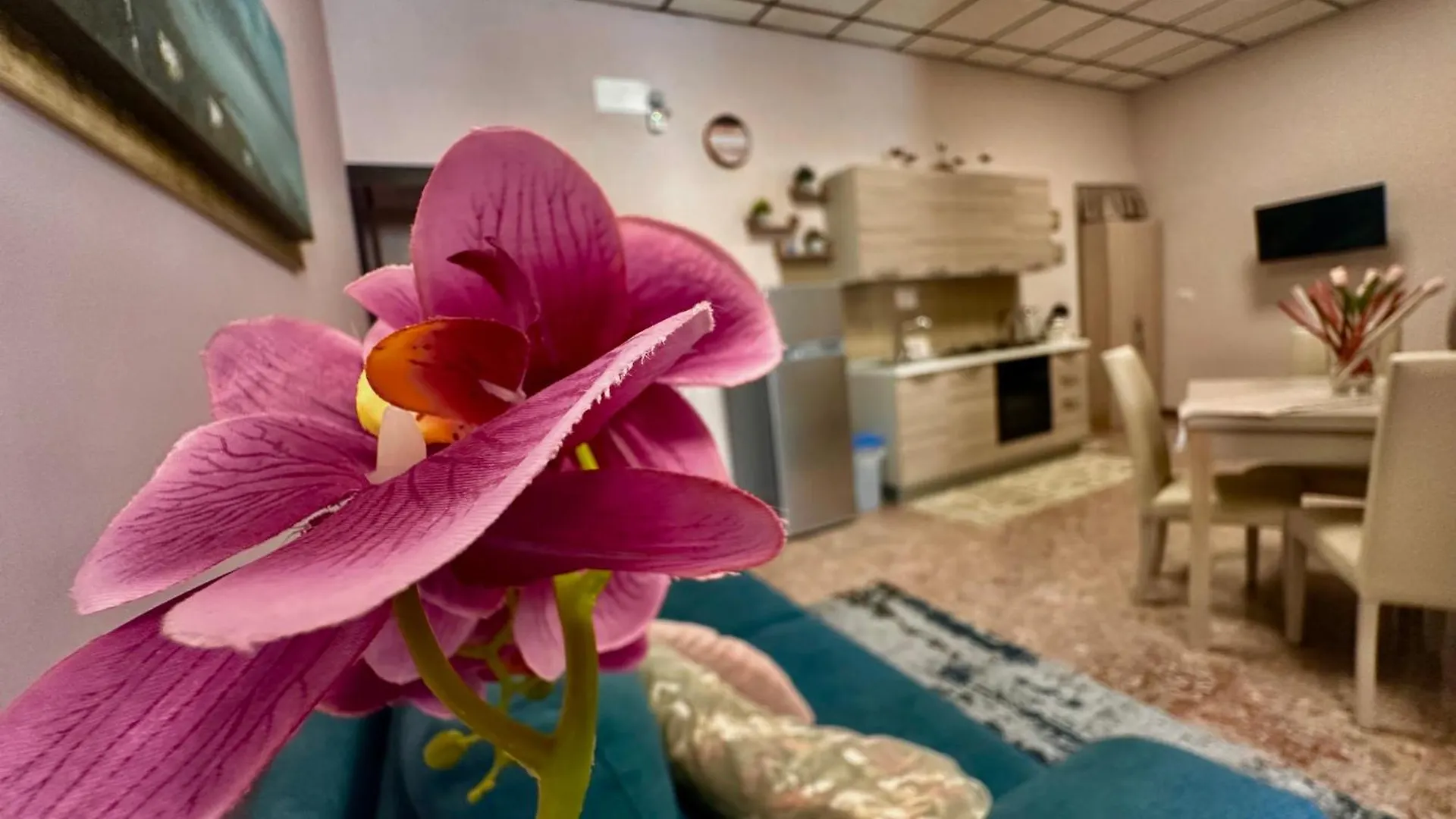 Dimora Casanova Apartment Naples